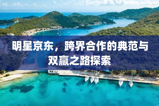 明星京东，跨界合作的典范与双赢之路探索