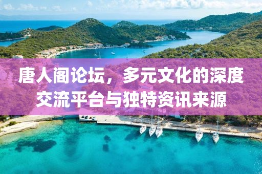 唐人阁论坛，多元文化的深度交流平台与独特资讯来源