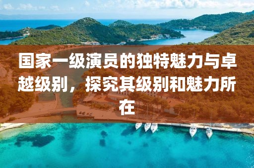 国家一级演员的独特魅力与卓越级别，探究其级别和魅力所在