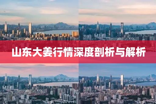 山东大姜行情深度剖析与解析