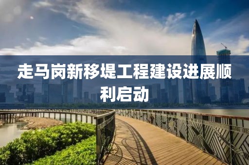 走马岗新移堤工程建设进展顺利启动