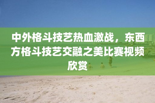 中外格斗技艺热血激战，东西方格斗技艺交融之美比赛视频欣赏