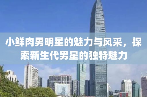 小鲜肉男明星的魅力与风采，探索新生代男星的独特魅力