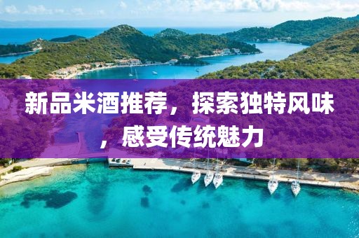 新品米酒推荐，探索独特风味，感受传统魅力