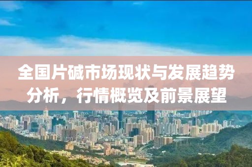 全国片碱市场现状与发展趋势分析，行情概览及前景展望