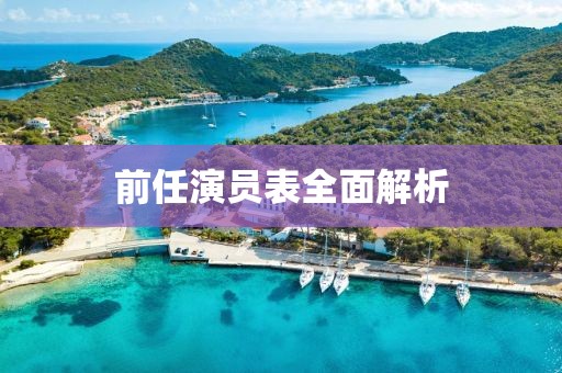 前任演员表全面解析