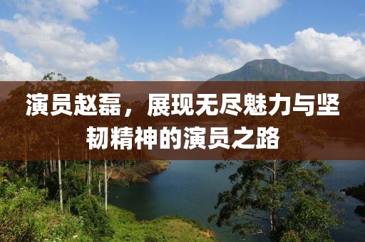 演员赵磊，展现无尽魅力与坚韧精神的演员之路