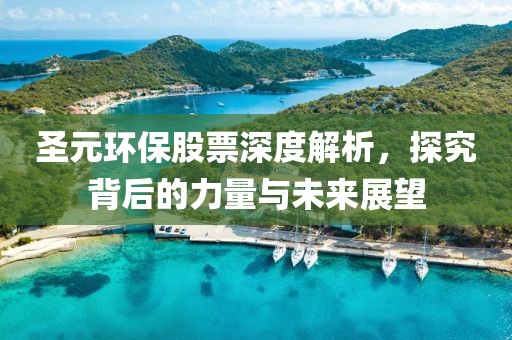 圣元环保股票深度解析，探究背后的力量与未来展望