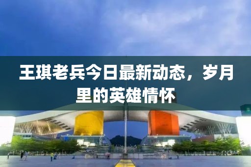 王琪老兵今日最新动态，岁月里的英雄情怀