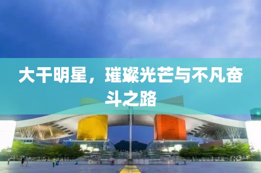 大干明星，璀璨光芒与不凡奋斗之路