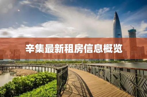 辛集最新租房信息概览