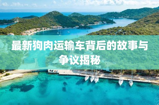 最新狗肉运输车背后的故事与争议揭秘