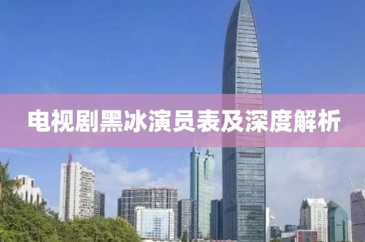 电视剧黑冰演员表及深度解析