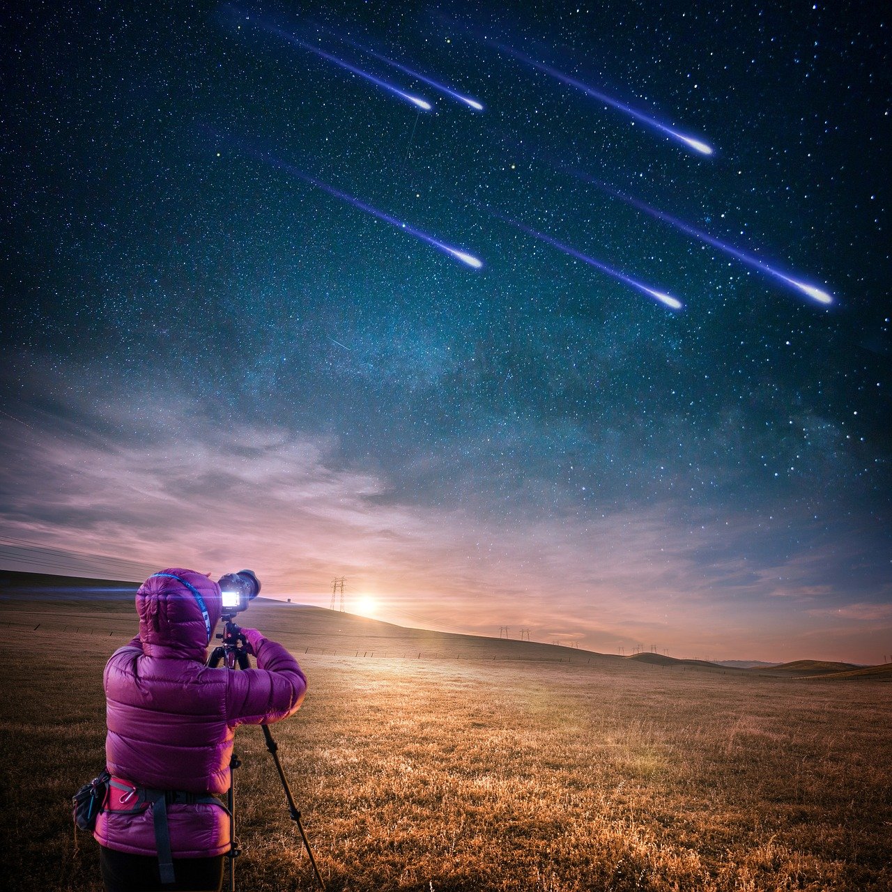 胖明星的魅力不减，星光熠熠闪耀舞台