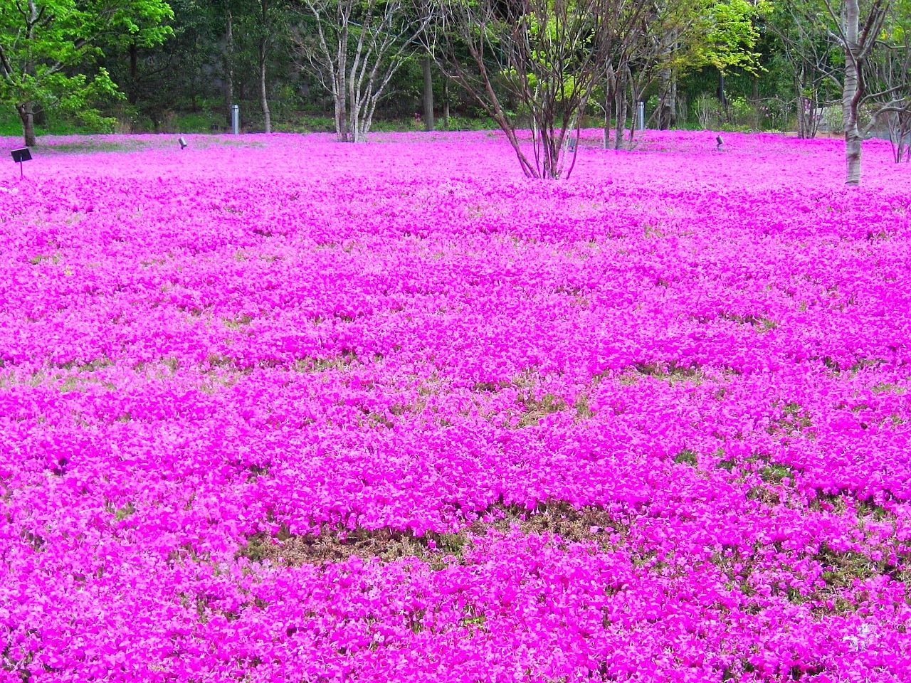 芜湖东城豪庭最新动态揭秘，城市璀璨明珠崭新面貌展现