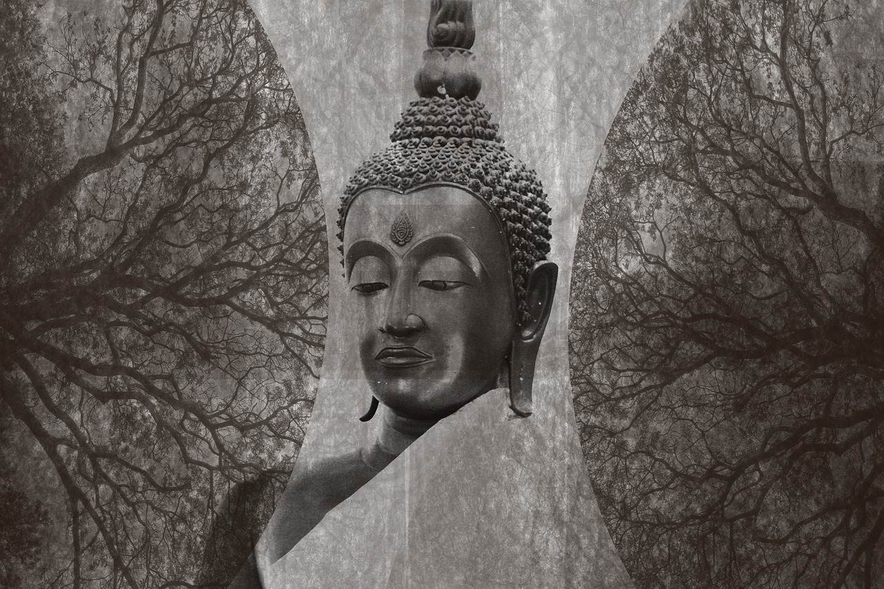 探寻神秘世界的奇异之旅——阴府镇阳间最新章节