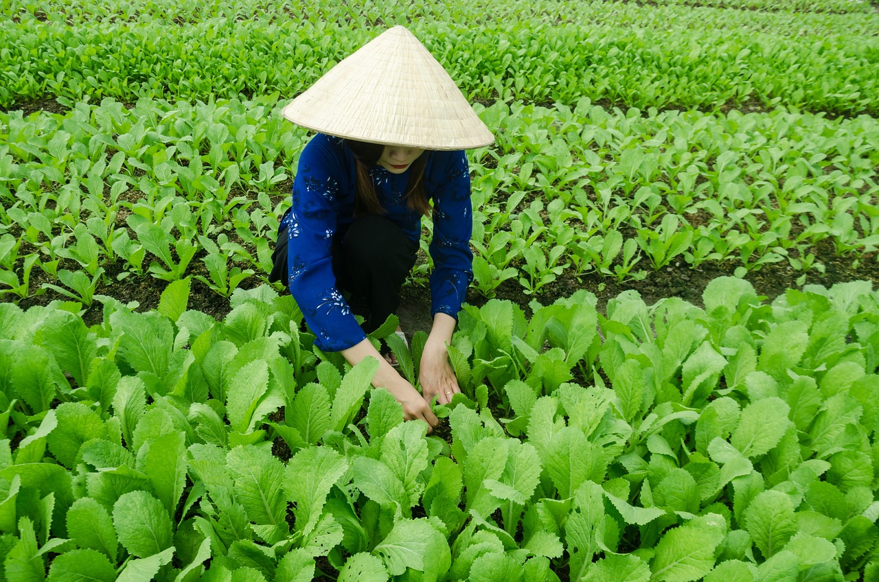 辽宁省陈必成聚焦发展与创新，最新动态揭秘