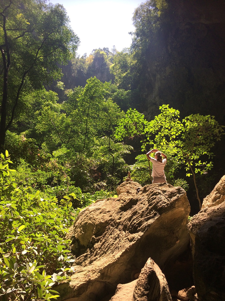 自然最新发现，探索未知奥秘与奇迹的旅程