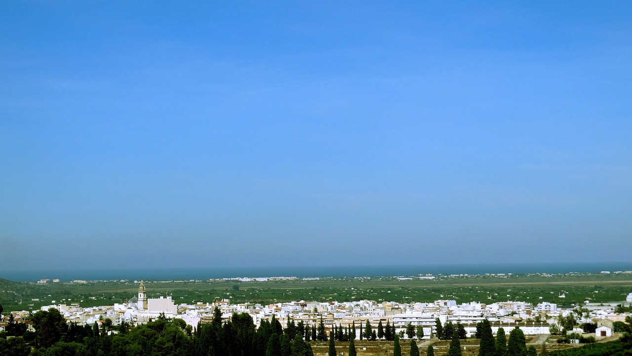 高陵最新司机招聘动态与市场分析概览