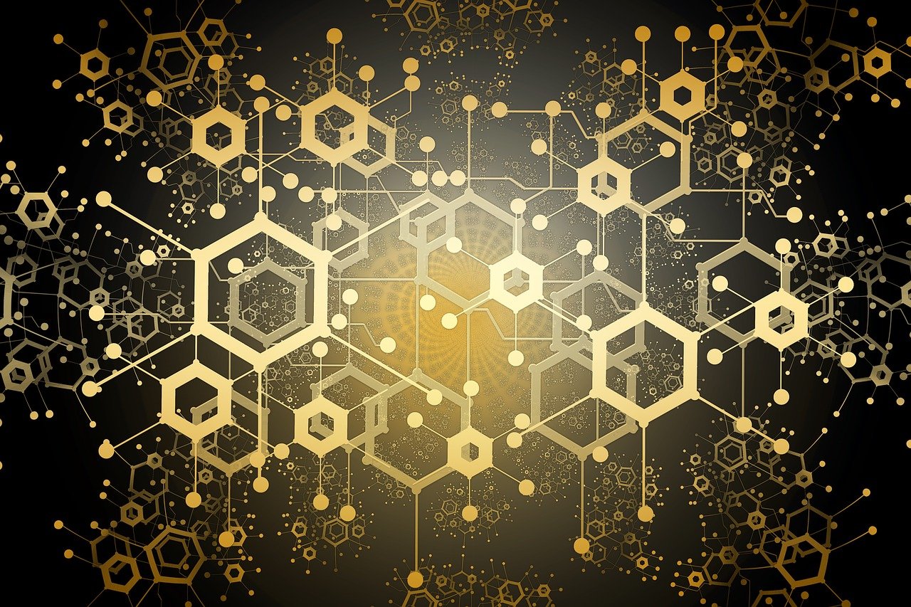 探索生活平衡之道，闲暇时光与价格的艺术对话