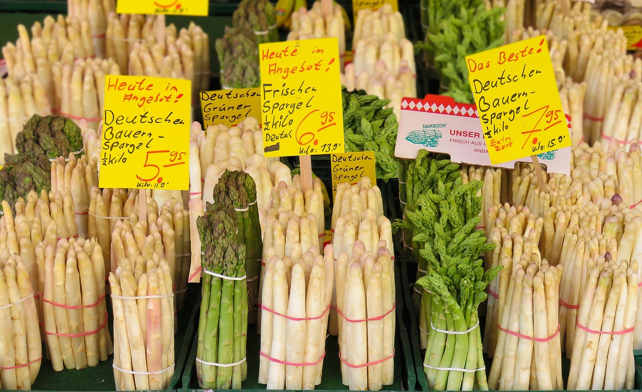 鱼腥草价格走势分析，市场趋势、影响因素与未来预测
