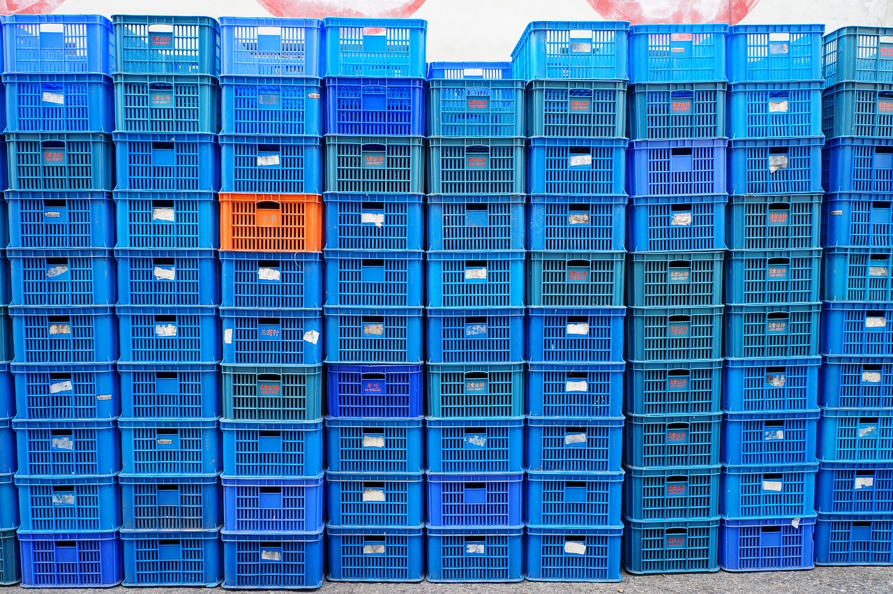 新凤祥王进圣，引领企业创新，塑造未来之光的新动态