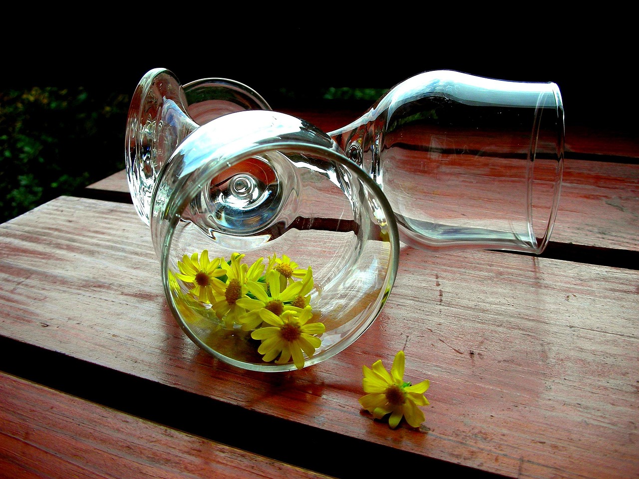 插花比赛视频，艺术与技术的完美融合展现风采瞬间