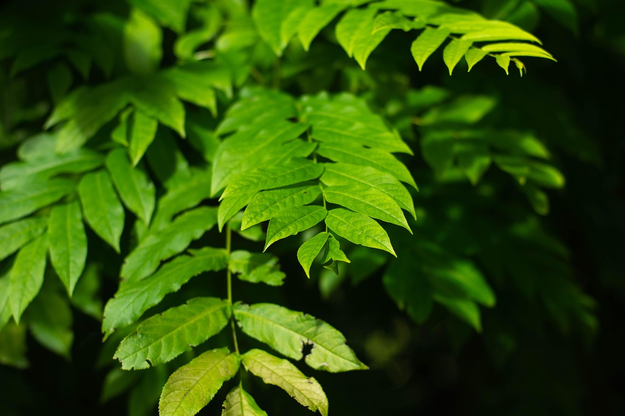 山川情诗 第12页