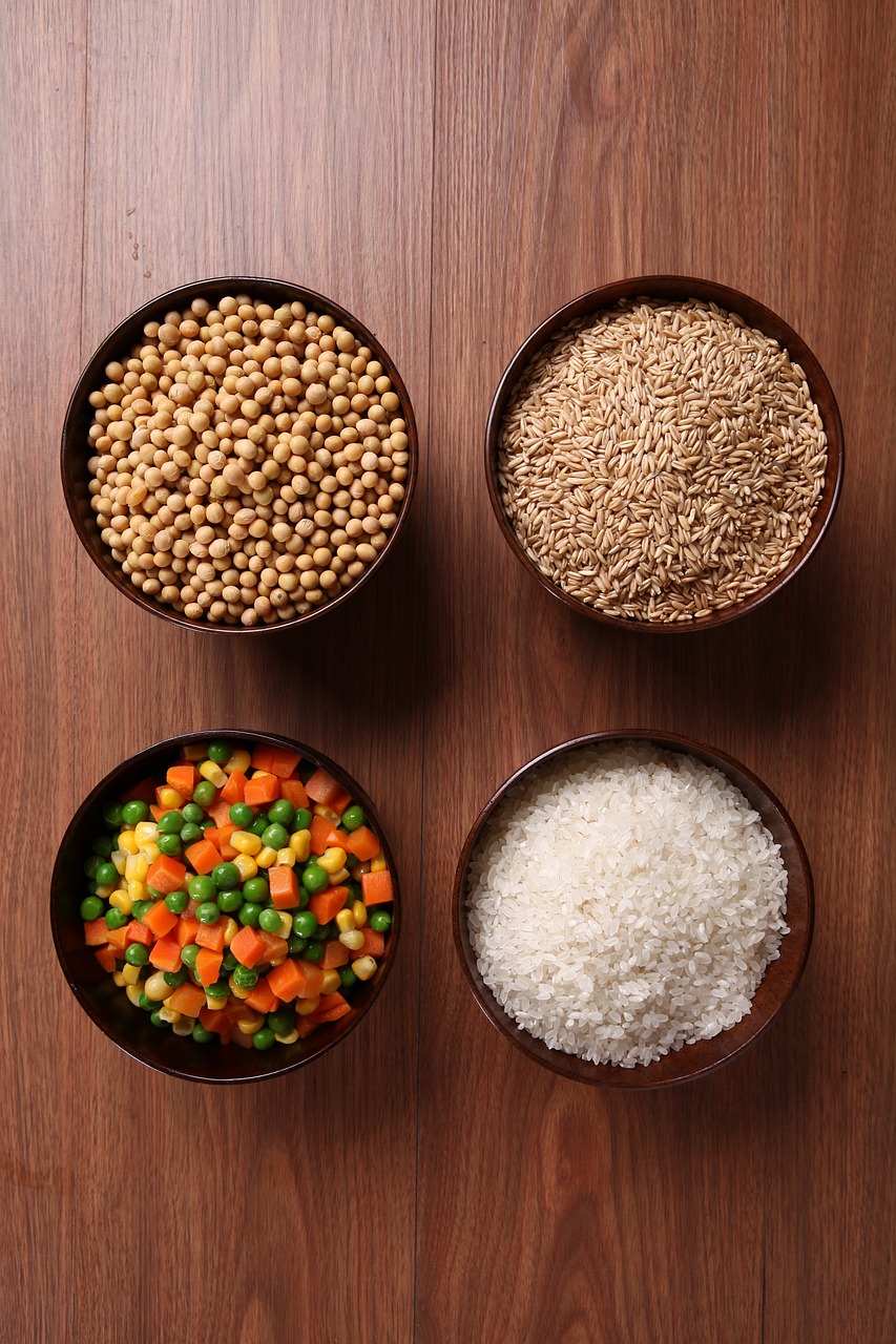 加加食品股票最新消息深度解析与动态关注