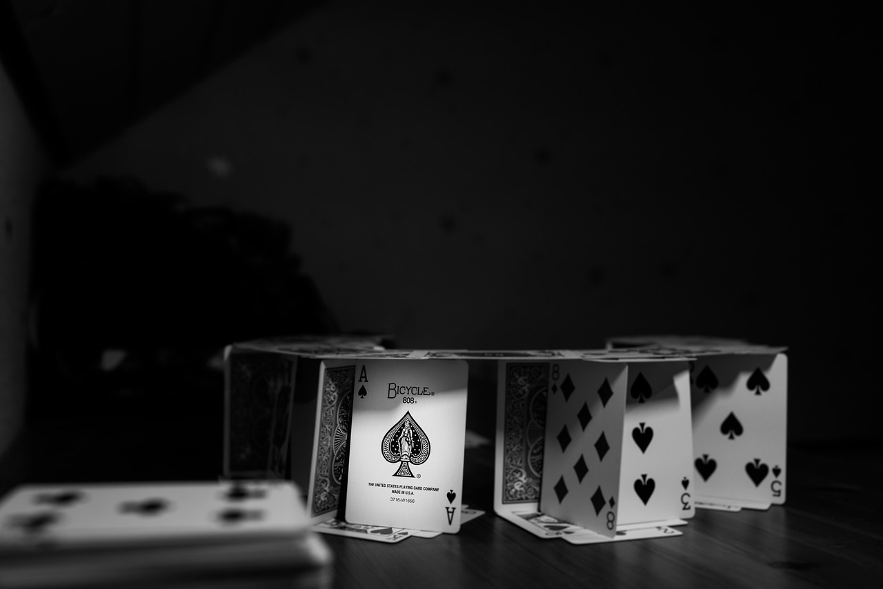 侍明星，闪耀背后的故事与光芒