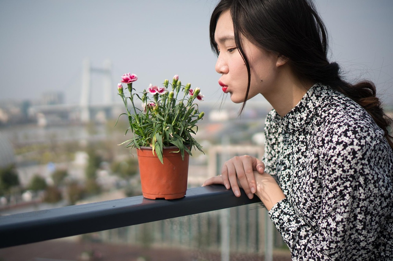 璀璨影视艺术之星，女演员表深度探究