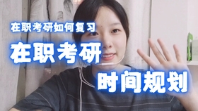 -20柴油价格深度解析，市场走势与影响因素全解析