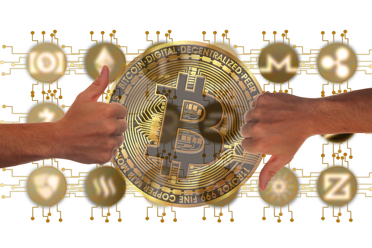 临清玉米价格动态及分析简报