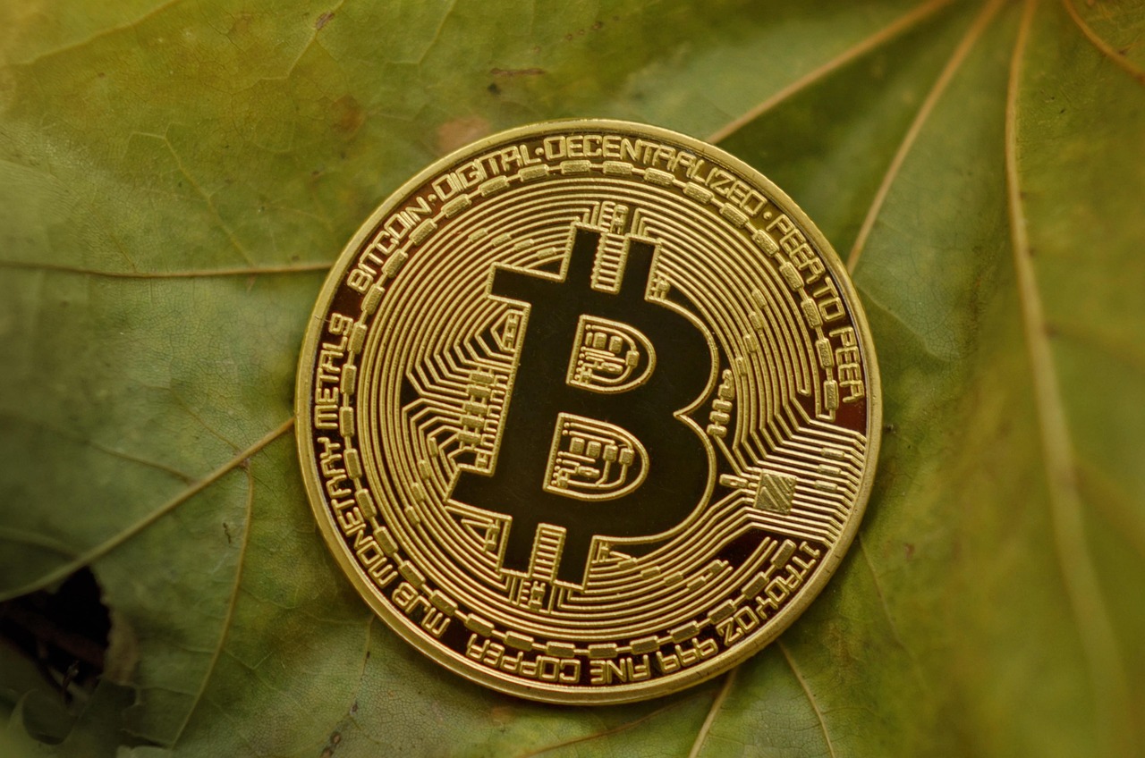 比特币历史价格走势探索，数字黄金的波动之路